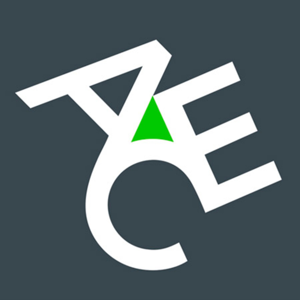ACE medical insurance provider