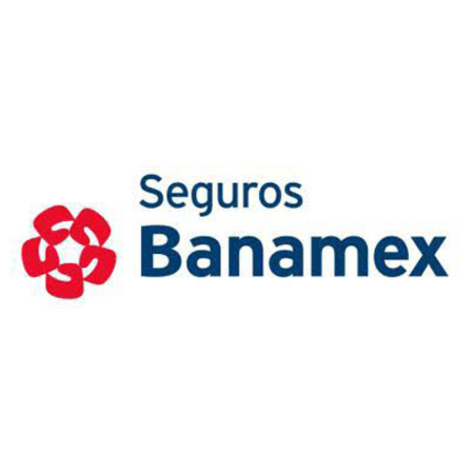 BANAMEX medical insurance provider
