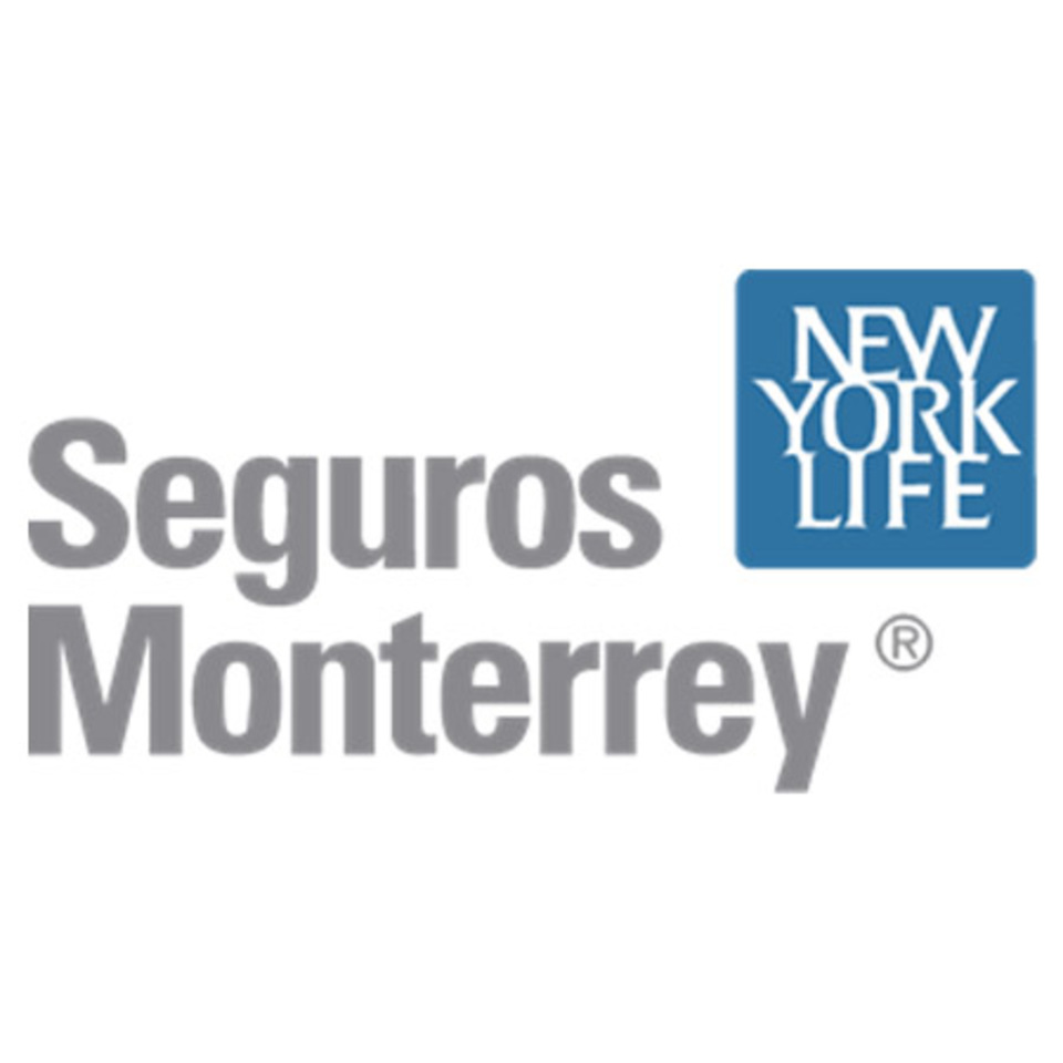 SEGUROSMONTERREY medical insurance provider
