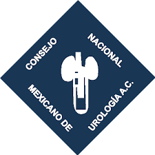 Icon 4